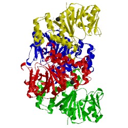 Image of CATH 4b42
