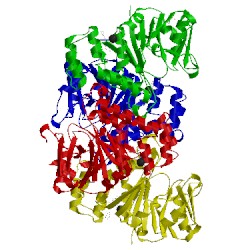 Image of CATH 4b4b