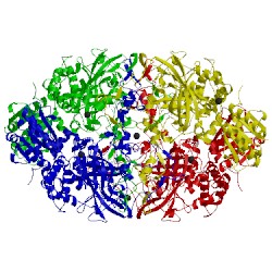 Image of CATH 4b5k