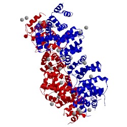 Image of CATH 4b8b