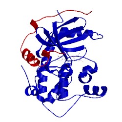 Image of CATH 4b8l