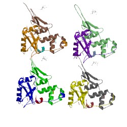 Image of CATH 4b95