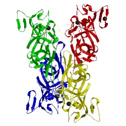 Image of CATH 4bb7