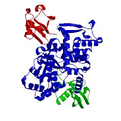 Image of CATH 4bbn