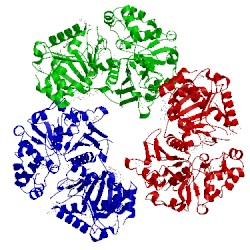 Image of CATH 4bc2