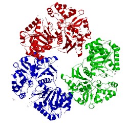 Image of CATH 4bc3