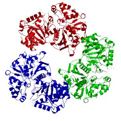 Image of CATH 4bc4