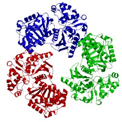 Image of CATH 4bc5