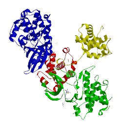 Image of CATH 4bcp