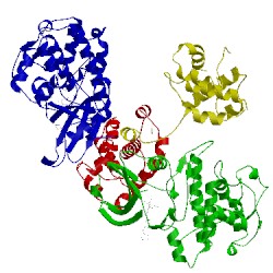 Image of CATH 4bcq