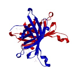 Image of CATH 4bcs
