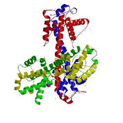 Image of CATH 4bd8