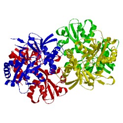 Image of CATH 4bdm