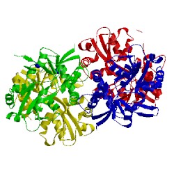 Image of CATH 4bdn