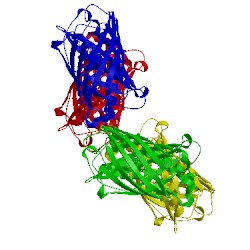 Image of CATH 4bdu