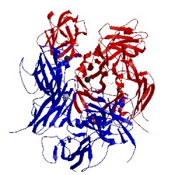 Image of CATH 4bdv