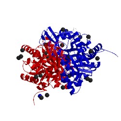 Image of CATH 4bf5