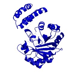 Image of CATH 4bf9