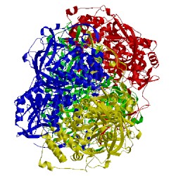 Image of CATH 4bfl