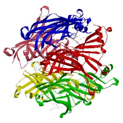 Image of CATH 4bfq