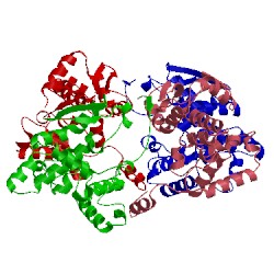 Image of CATH 4bhh