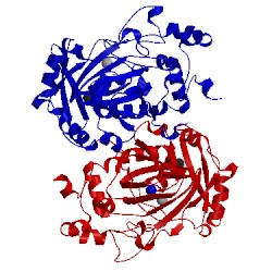 Image of CATH 4bis