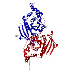 Image of CATH 4bjo