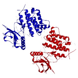 Image of CATH 4bkj