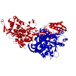 Image of CATH 4bl2