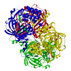 Image of CATH 4blc