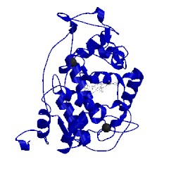 Image of CATH 4blk