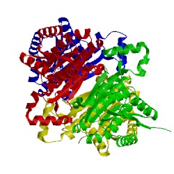 Image of CATH 4bnv