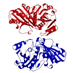 Image of CATH 4boy