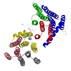 Image of CATH 4bpd