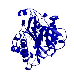 Image of CATH 4bps