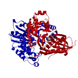 Image of CATH 4brc