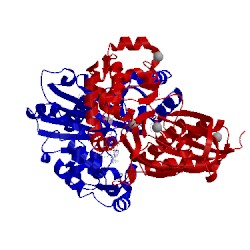 Image of CATH 4brd