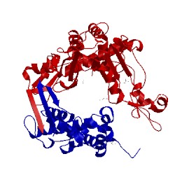 Image of CATH 4bth