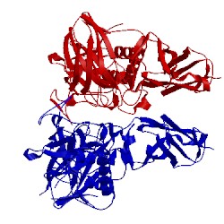 Image of CATH 4bug