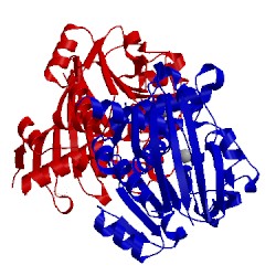 Image of CATH 4bv8