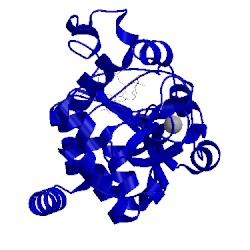 Image of CATH 4bvb