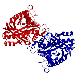 Image of CATH 4bvq