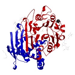 Image of CATH 4bwc