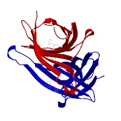 Image of CATH 4bx7