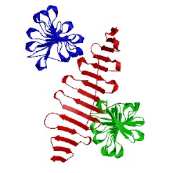Image of CATH 4by2