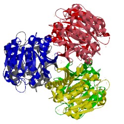 Image of CATH 4c01