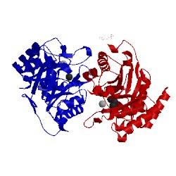 Image of CATH 4c1l