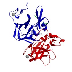 Image of CATH 4c1q