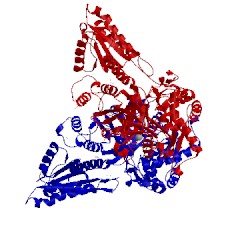 Image of CATH 4c20