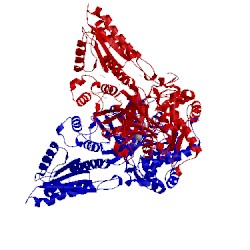 Image of CATH 4c21